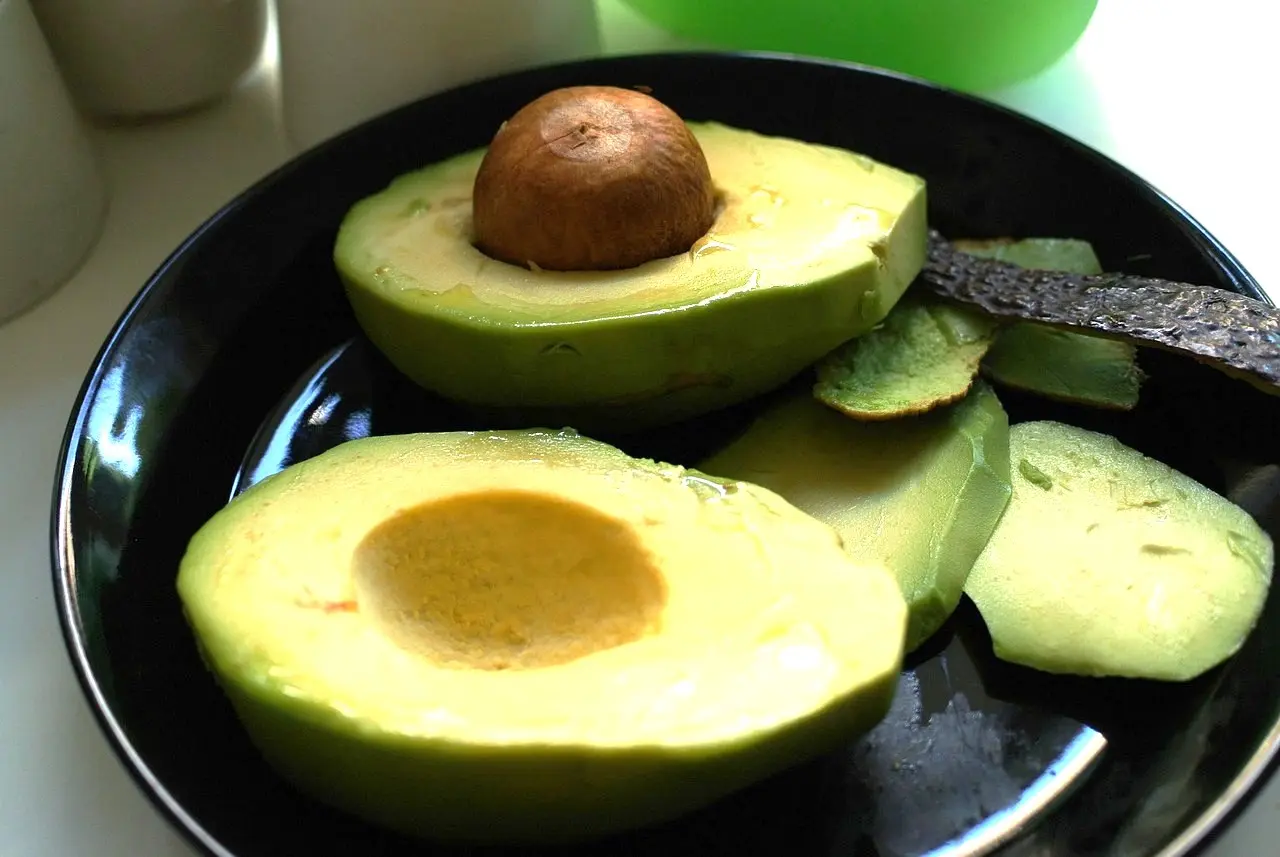 Can You Keep Cut Avocados Fresh? Discover Effective Methods and Tips