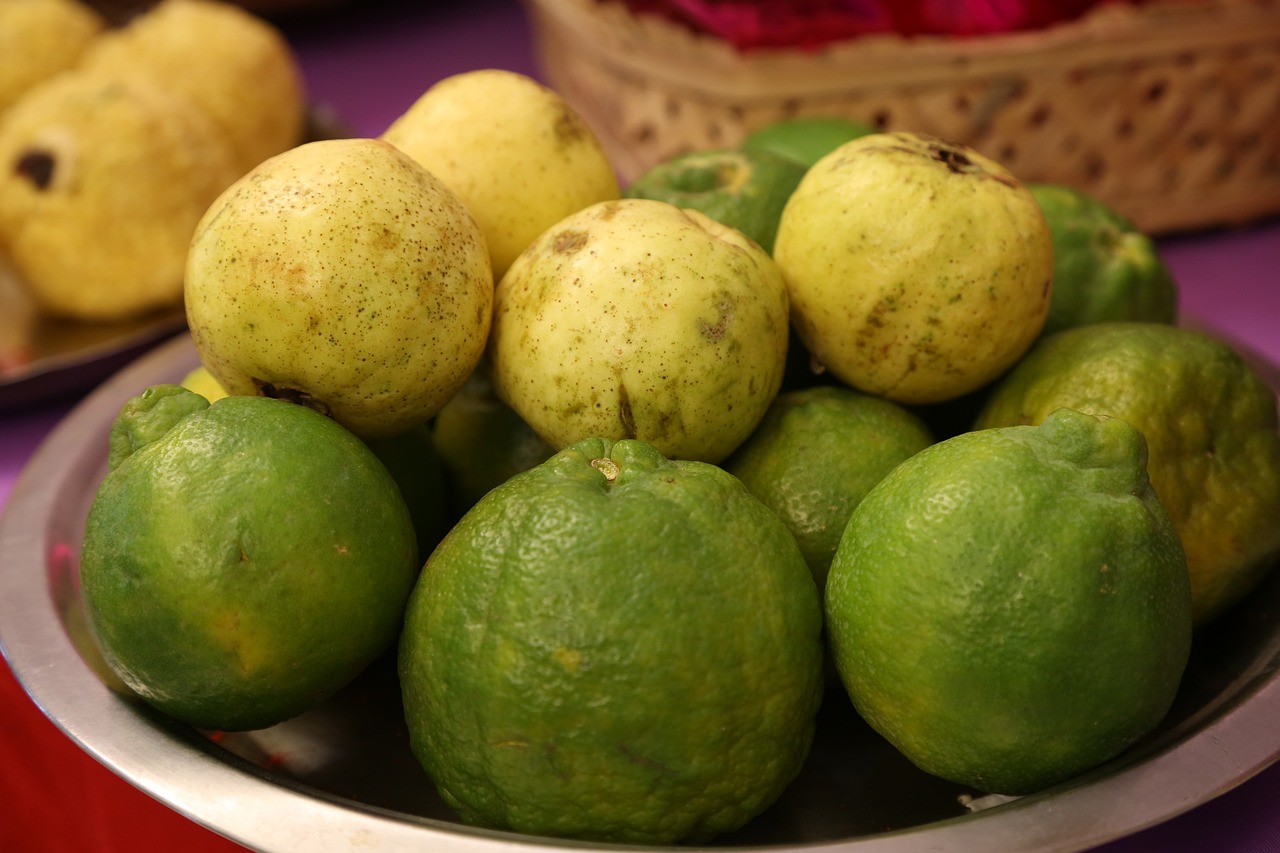 Indian Guava