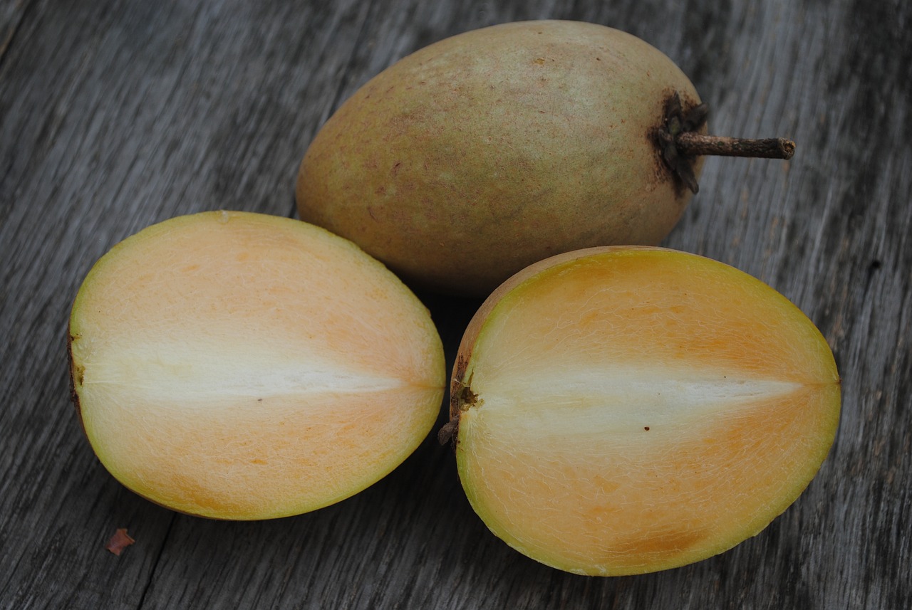 Chikoo Sapodilla