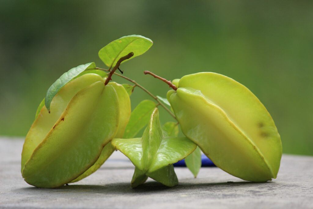 Star Fruit Carambola