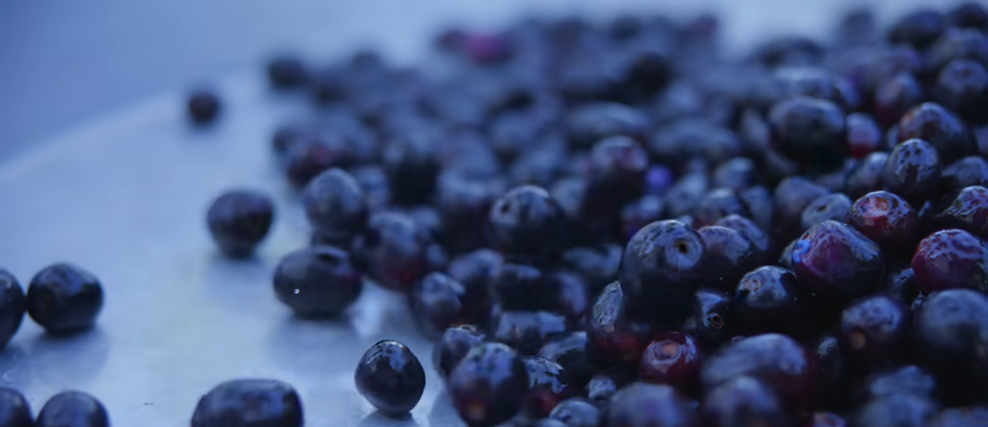 Java Plum or Jambhul or Syzygium cumini