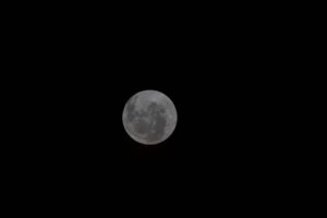 The Moon’s Orientale Basin captured by the Artemis II crew during their lunar flyby mission.